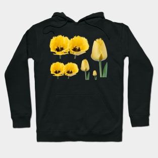 Tulipa  &#39;Crystal Star&#39;  Fringed Tulip Hoodie